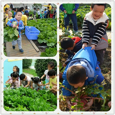 5913cd2532fce.jpg initpintu_副本1.jpg