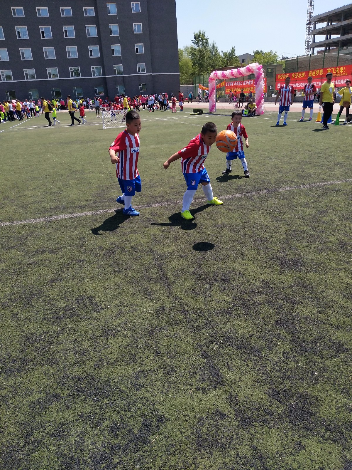 592e25b2b3852.jpg